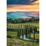 Puzzle Ravensburger Valle del Orcia, Toscana de 1000 Piezas Ravensburger - 2