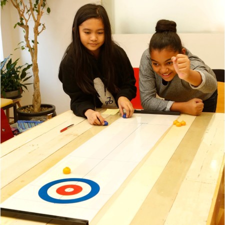 Tabletop Curling Game - Lleva la emoción del curling a tu mesa 🤩