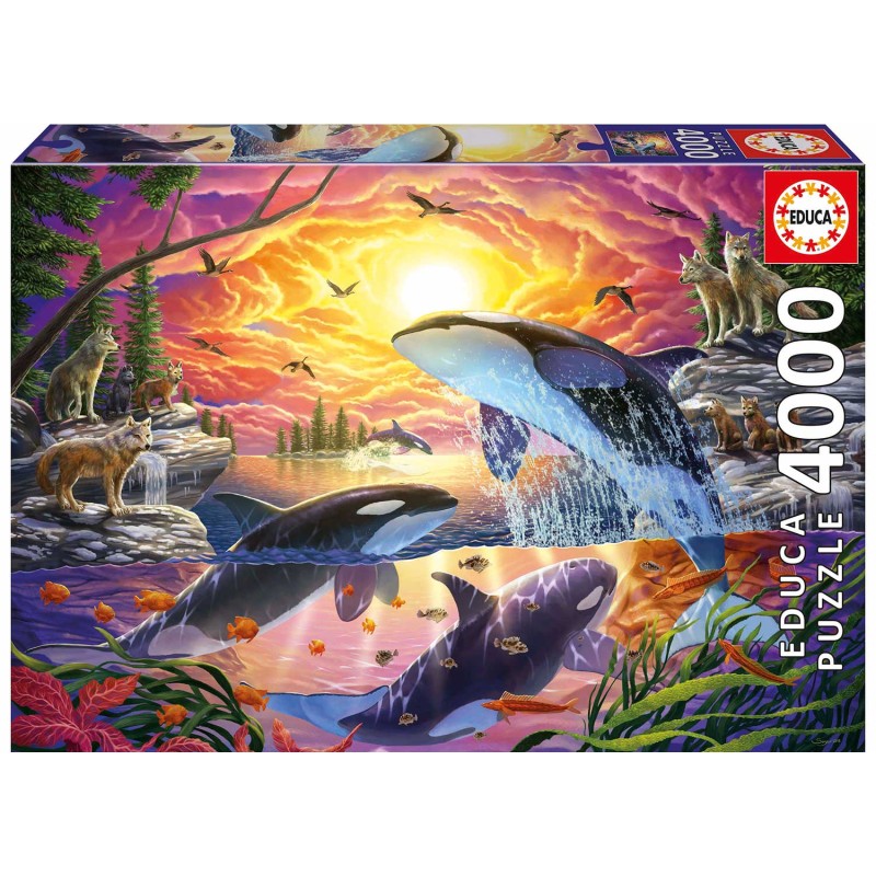 Orcas y Lobos (4000 pz) | Puzzle Educa | Kubekings