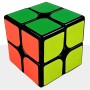 YJ GuanPo 2x2 Plus