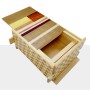 Caja Japonesa Yosegi Creative 4 Sun 18 Etapas Yosegi - 2