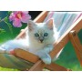 Puzzle Ravensburger Gatito Blanco XXL de 200 Piezas Ravensburger - 2