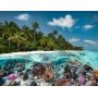 Puzzle Ravensburger El Buceo en las Maldivas de 2000 Piezas Ravensburger - 1