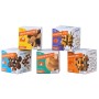 Brain Puzzle Nº 01: Lóbulo Frontal - Rompecabezas de Ingenio Recent Toys Recent Toys - 3