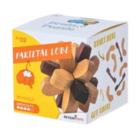 Brain Puzzle Nº 02: Lóbulo Parietal - Rompecabezas de Ingenio Recent Toys Recent Toys - 1