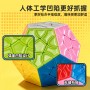 Sengso Dino Dodecahedron Megaminx Shengshou - 5