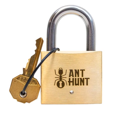 Ant Hunt: Caza de Hormigas - Candado Puzzle de Ingenio PuzzLocks PuzzLocks - 1