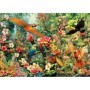 Puzzle Educa Aves del Amazonas de 2000 Piezas Puzzles Educa - 1