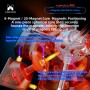 X-Man Tornado V5 3x3 Pioneer - Limited Edition (MagLev + 20 Magnet Ball-Core + UV) Qiyi - 8