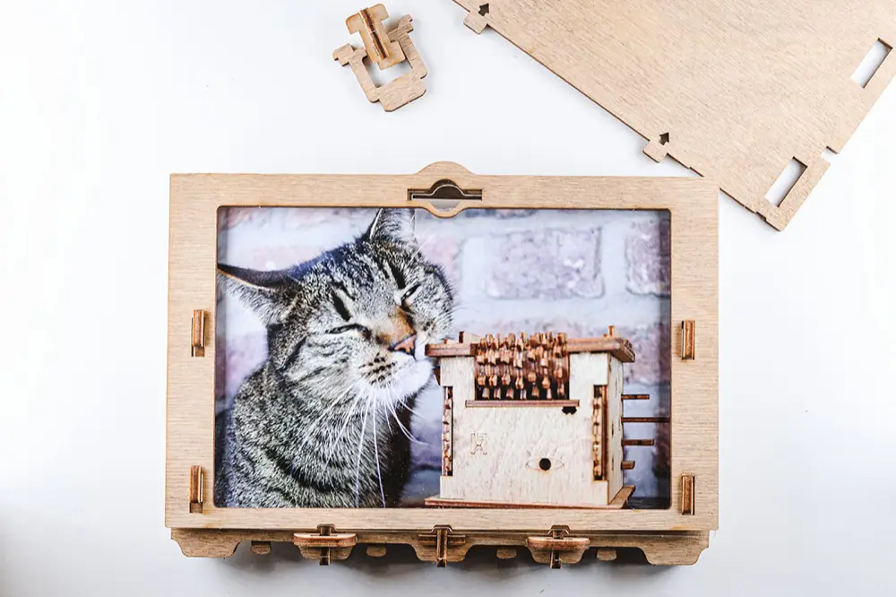 CLUEFRAME – Configuración – Meter una foto