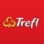 Puzzles Trefl