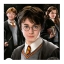 Puzzles Harry Potter 1000 piezas